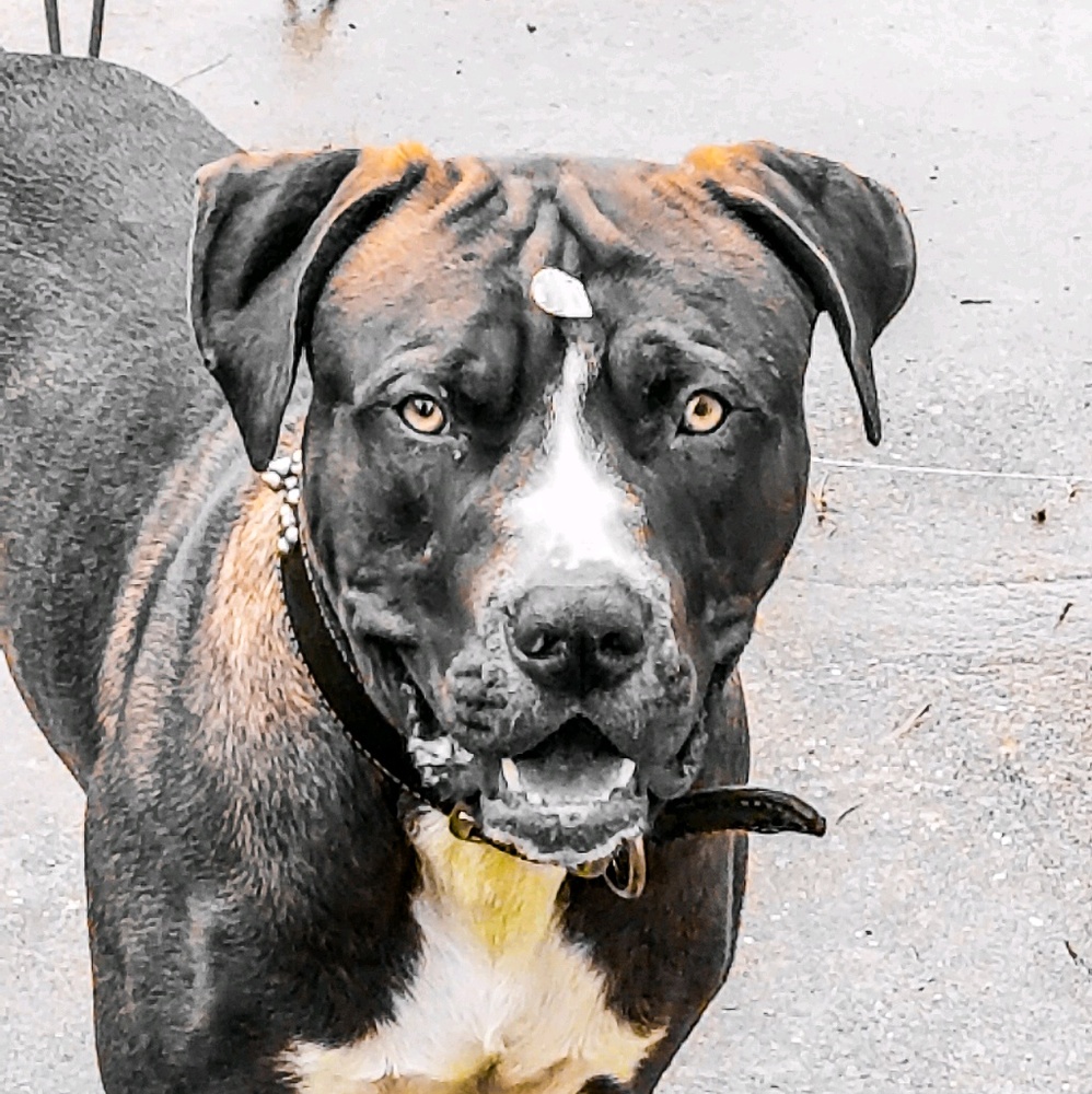 Meet your Posher, Craig